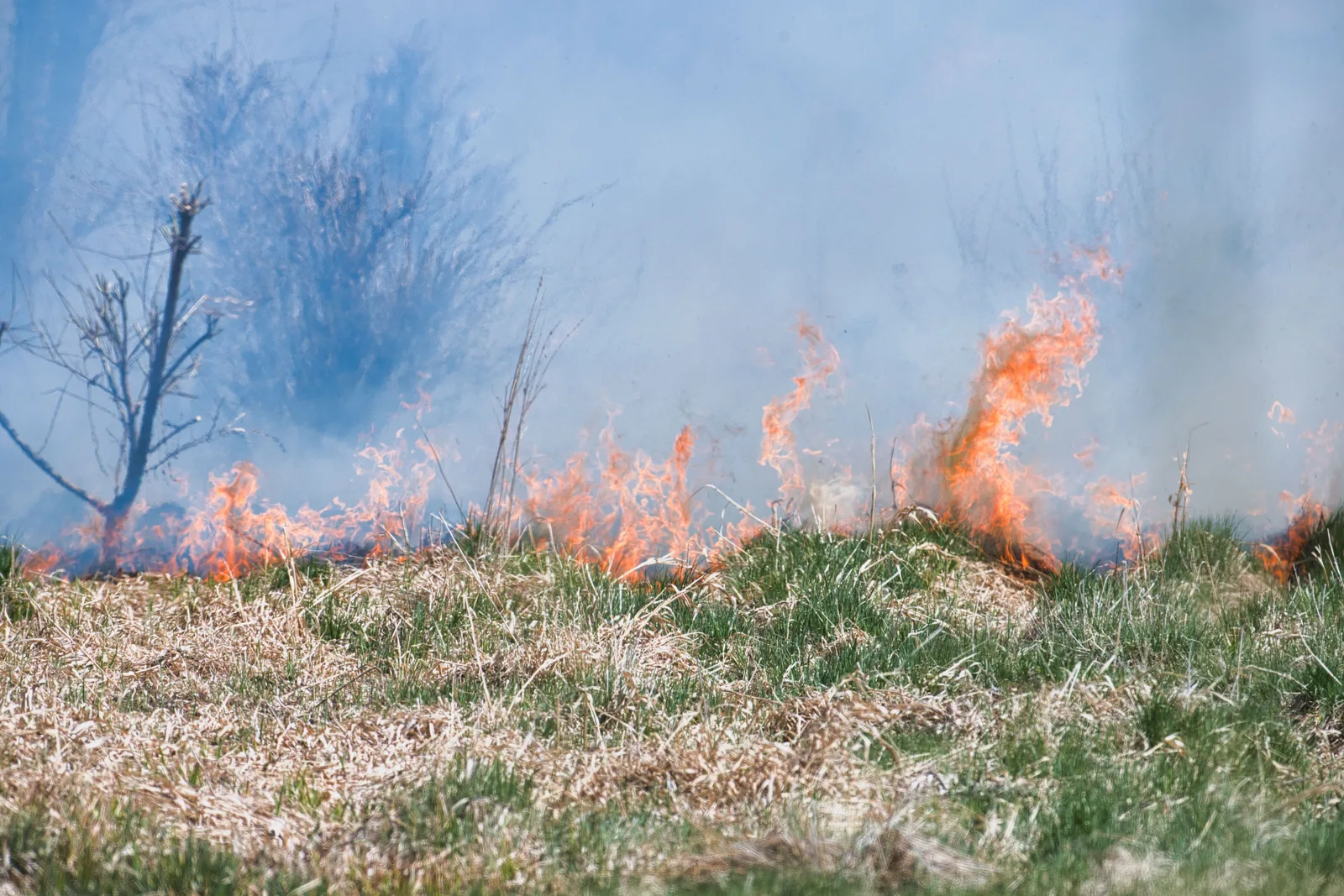 Wildfire burning through dry grassland